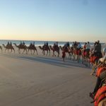 Camel Ride